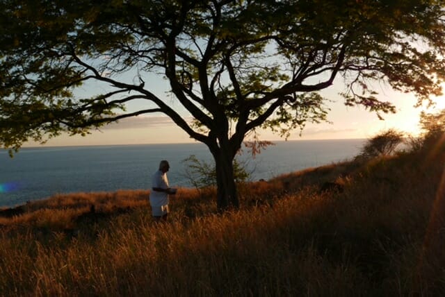 Dave spends time with Boots at sunset with the Lana’i Cat Sanctuary, Hawaii